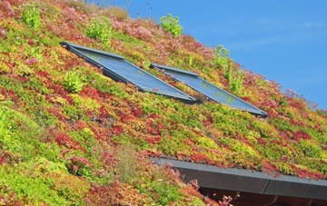 Stratford St Andrew living roof systems
