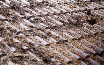 Stratford St Andrew roof cleaning companies