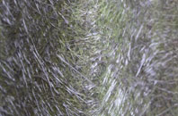 Stratford St Andrew fibreglass roof work